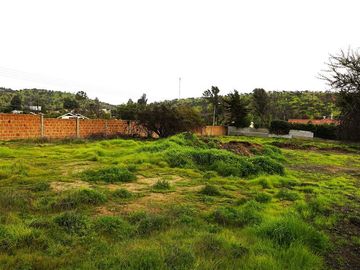 Sitio en Venta en Quebrada Lo Hidalgo - VILLA ALEMANA