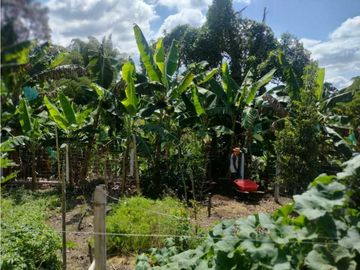 Se Vende Casa de Campo, Vía Alcalá a Filandia