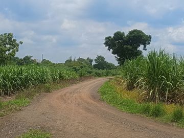 Land for sale in Si Lako, Nakhon Ratchasima