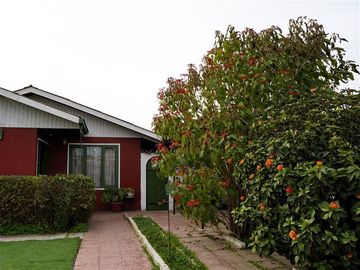 Sitio en Venta en Pedro de Valdivia - El Belloto - QUILPUE.