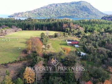 venta de tres terrenos orilla lago Ranco