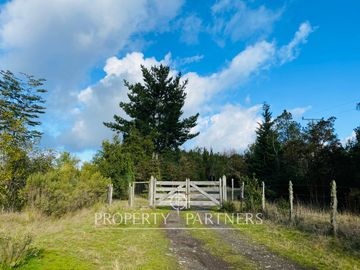 venta de tres terrenos orilla lago Ranco