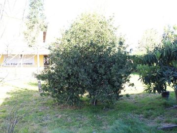 Casa venta Guernica