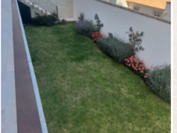 Venta Pent Garden Magnolia, Cumbres del Lago, Juriquilla
