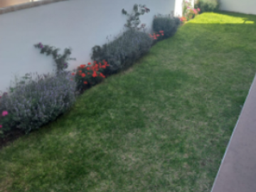 Venta Pent Garden Magnolia, Cumbres del Lago, Juriquilla