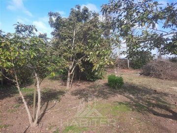 Parcela en Venta en Isla de Marchant, Curicó