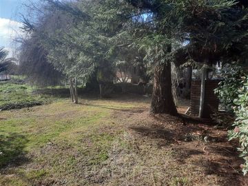 Parcela en Venta en Isla de Marchant, Curicó