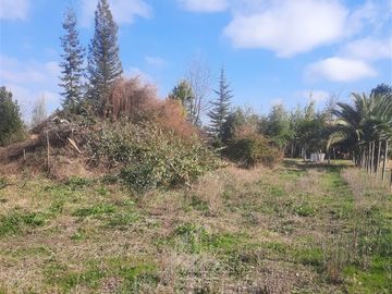 Parcela en Venta en Isla de Marchant, Curicó
