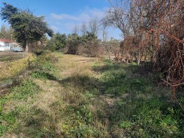 Parcela en Venta en Isla de Marchant, Curicó