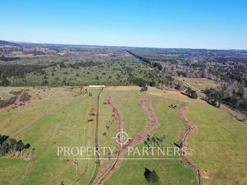 Lindo Campo en Los Lagos, sector Las Juntas