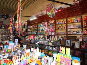 QUINTA CUITZEO: BELLA PROPIEDAD COLONIAL EN JARDIN PRINCIPAL, PARA USO COMERCIAL