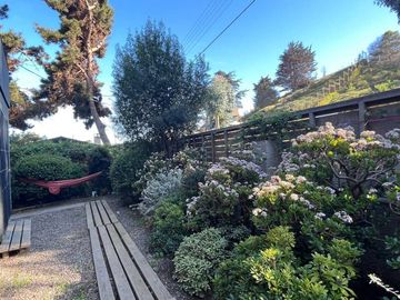 LA LAGUNA , ZAPALLAR