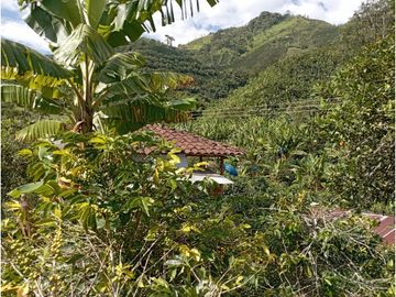 Se Vende Finca Cafetera en Quinchía Risaralda