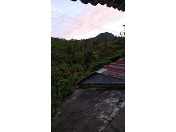 Se Vende Finca Cafetera en Quinchía Risaralda