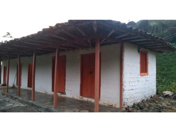 Se Vende Finca Cafetera en Quinchía Risaralda