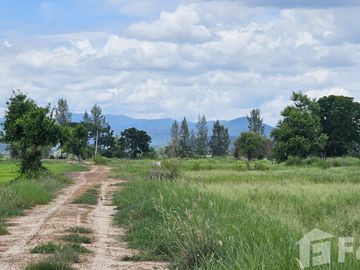 Land for sale in Ban Thi, Lamphun
