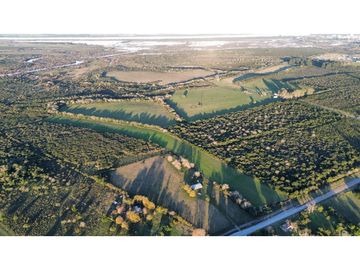 Vendo Casa de Campo en 3 Has en Concepción del Uruguay, Entre Ríos.