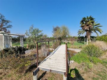 Casa en Venta en 2 Casas y parcela con 5.000 mts2 - Peñaflor
