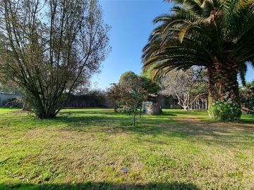Casa en Venta en 2 Casas y parcela con 5.000 mts2 - Peñaflor