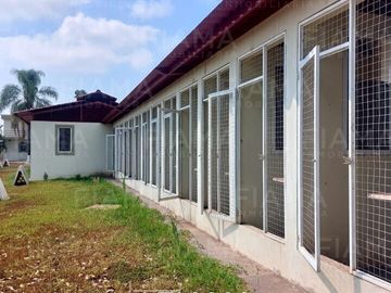 Rancho Gallero en Aquiles Serdan, Mpio. Tepic
