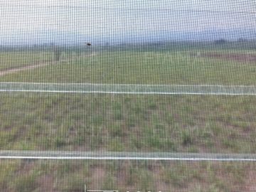 Rancho Gallero en Aquiles Serdan, Mpio. Tepic