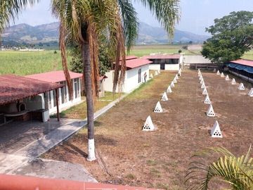 Rancho Gallero en Aquiles Serdan, Mpio. Tepic