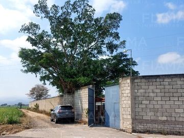 Rancho Gallero en Aquiles Serdan, Mpio. Tepic