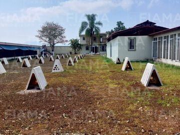 Rancho Gallero en Aquiles Serdan, Mpio. Tepic