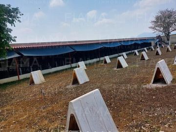 Rancho Gallero en Aquiles Serdan, Mpio. Tepic