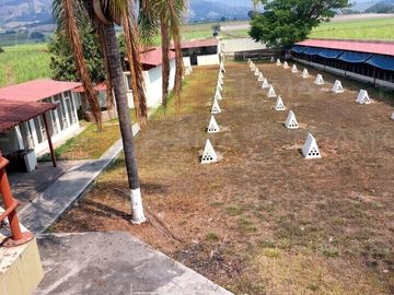 Rancho Gallero en Aquiles Serdan, Mpio. Tepic