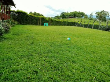 Finca Venta Arabia Pereira