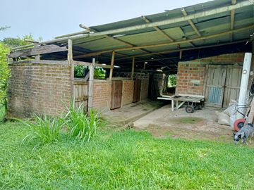 Finca Venta Arabia Pereira