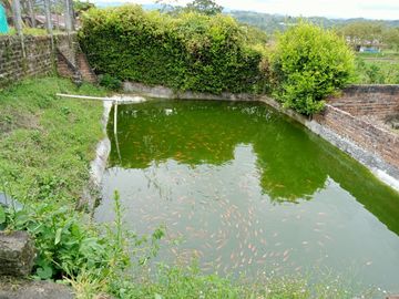 Finca Venta Arabia Pereira