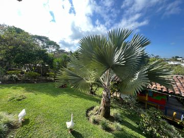 Casa Campestre Comercial Renta Vía Condina Pereira