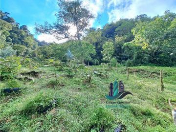 VENDO CABAÑA A 1700 M.S.N.M. BAJO MONO