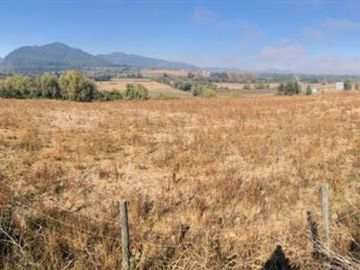 Agrícola en Venta en Bajo Perquin