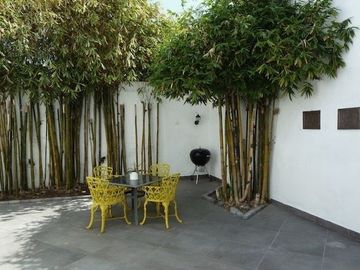 HERMOSA CASA UNA PLANTA EN CAMINO REAL Y ZAVALETA