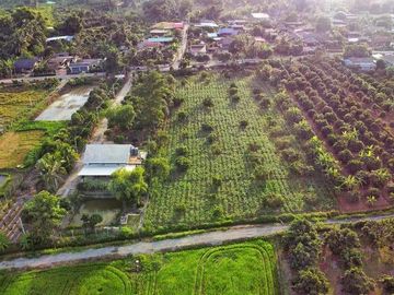 Land for sale in Mae Faek, Chiang Mai