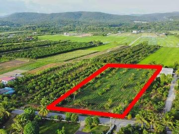Land for sale in Mae Faek, Chiang Mai