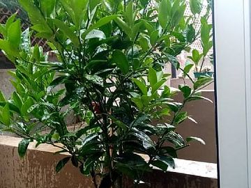 LOFT CERRO ALEGRE