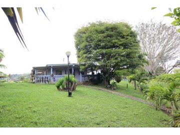 Finca para venta en el carmen K 30 borrero ayerbe 19.700 metros ²