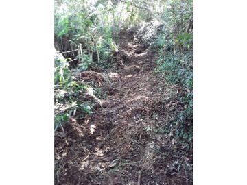 Finca para venta en el carmen K 30 borrero ayerbe 19.700 metros ²