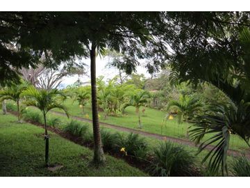 Finca para venta en el carmen K 30 borrero ayerbe 19.700 metros ²