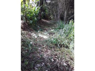 Finca para venta en el carmen K 30 borrero ayerbe 19.700 metros ²