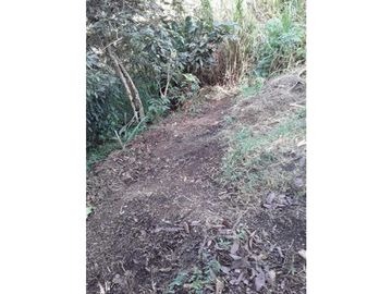 Finca para venta en el carmen K 30 borrero ayerbe 19.700 metros ²