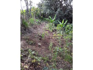 Finca para venta en el carmen K 30 borrero ayerbe 19.700 metros ²