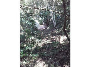 Finca para venta en el carmen K 30 borrero ayerbe 19.700 metros ²