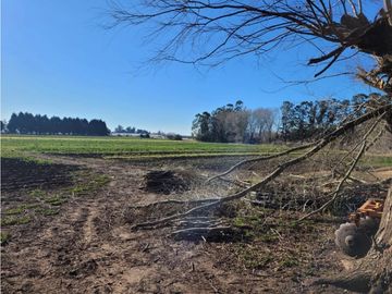 VENTA CAMPO - QUINTA DE 11 HECTAREAS EN LA POLOLA - EL BOQUERON