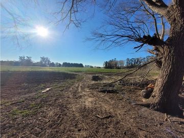 VENTA CAMPO - QUINTA DE 11 HECTAREAS EN LA POLOLA - EL BOQUERON