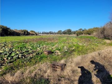 VENTA CAMPO - QUINTA DE 11 HECTAREAS EN LA POLOLA - EL BOQUERON